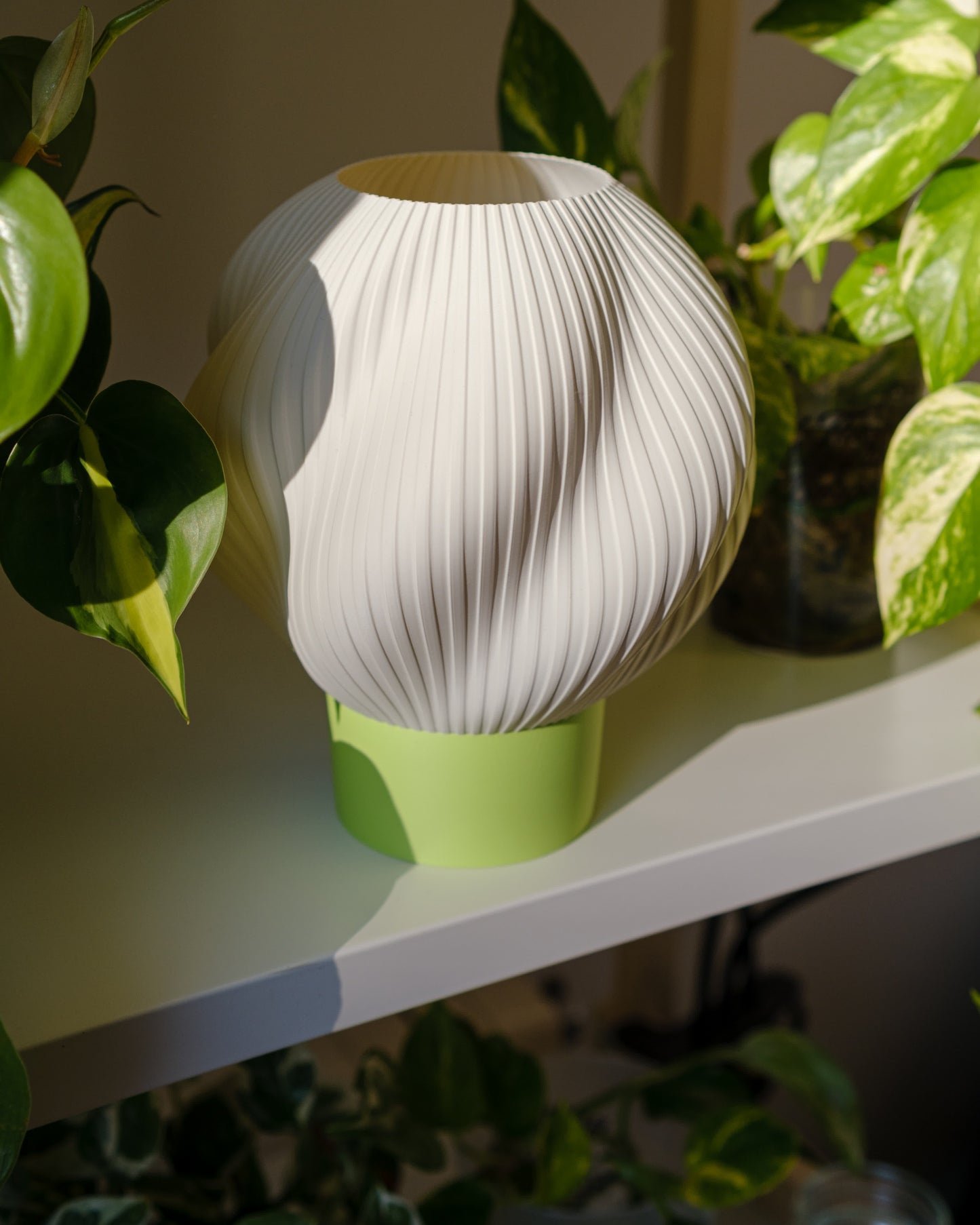 Globus