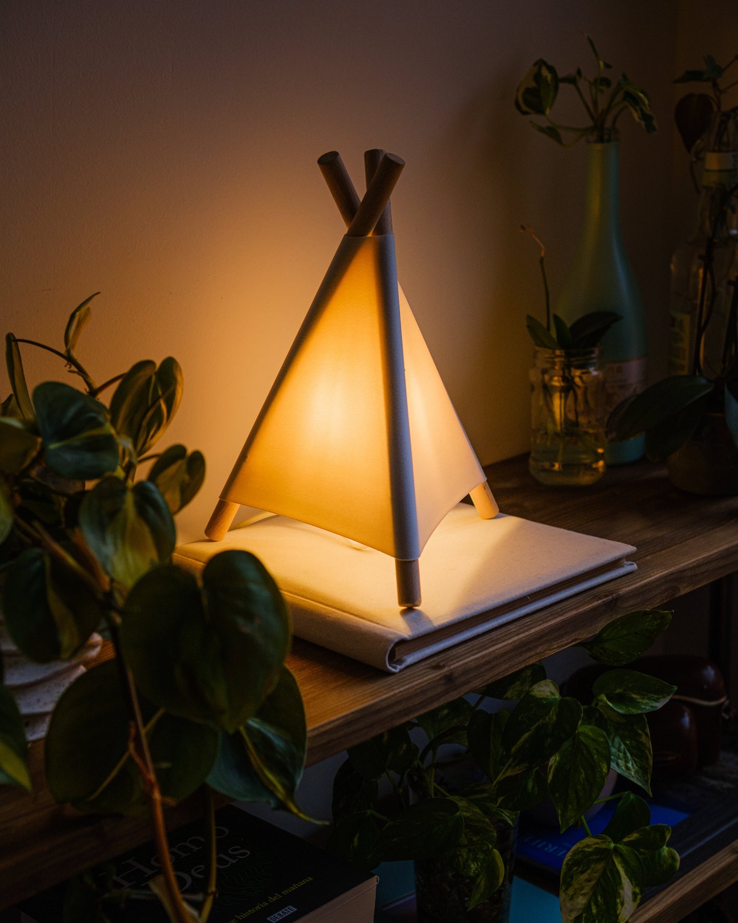 Tipi