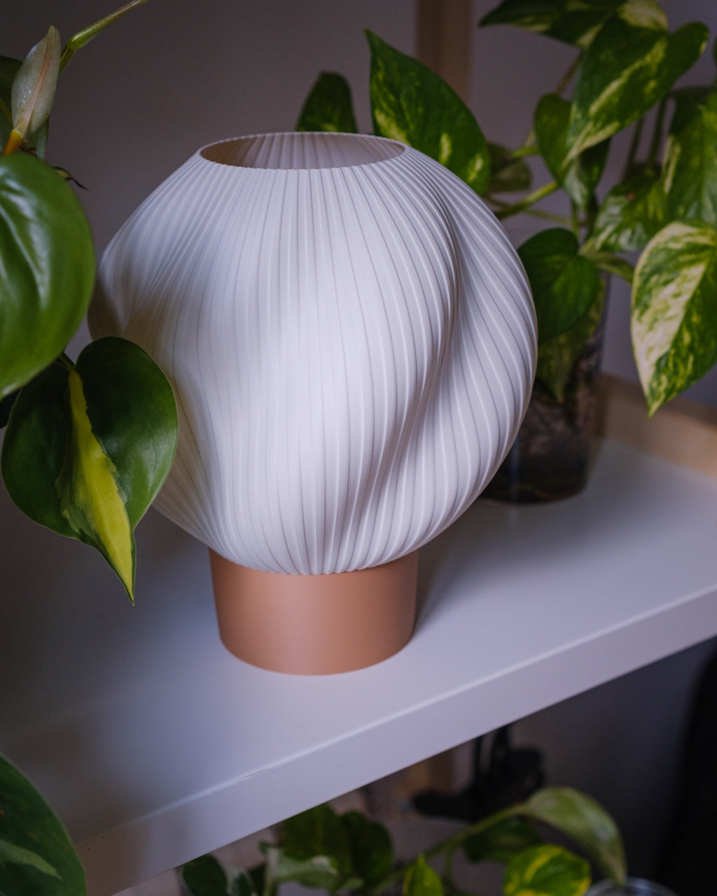 Globus Terra